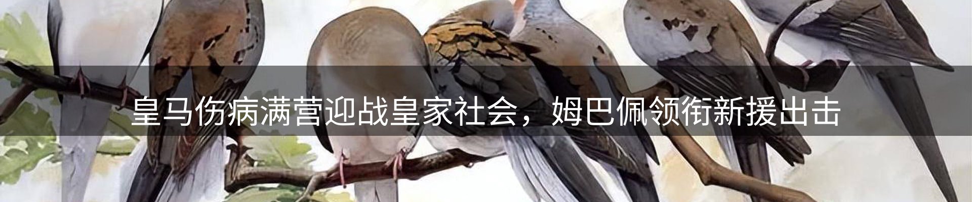 综合资讯